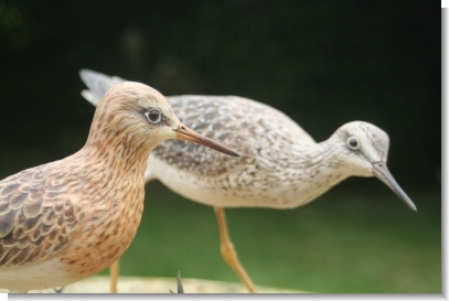 SHORE BIRDS by JOANIE SKEETE