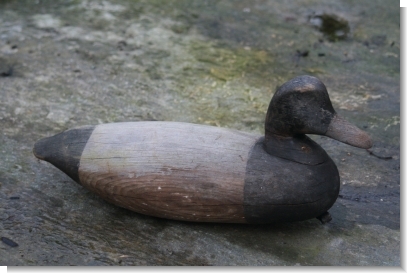 AMERICAN DECOY DUCK