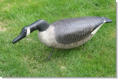 AMERICAN DECOY GOOSE.