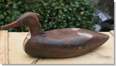 RED-BREASTED MERGANSER DECOY