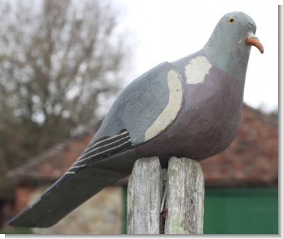 GOOD ENGLISH DECOY PIGEON