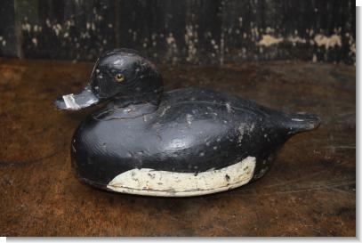 GOOD FRENCH DECOY DUCK