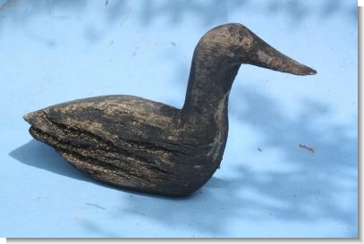 WONDERFUL FRENCH DECOY DUCK, 