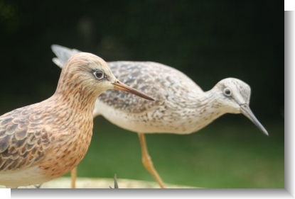 SHORE BIRDS by JOANIE SKEETE