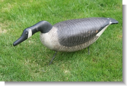 AMERICAN DECOY GOOSE.