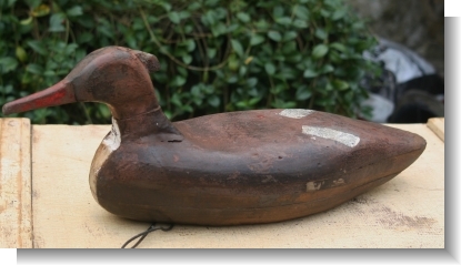 RED-BREASTED MERGANSER DECOY