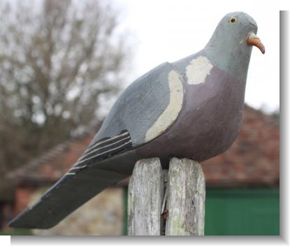 GOOD ENGLISH DECOY PIGEON