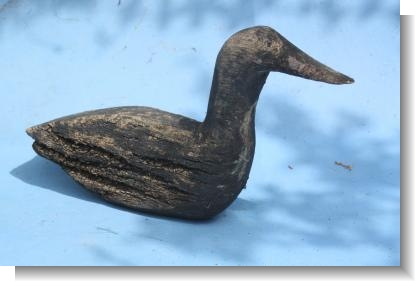 WONDERFUL FRENCH DECOY DUCK, 